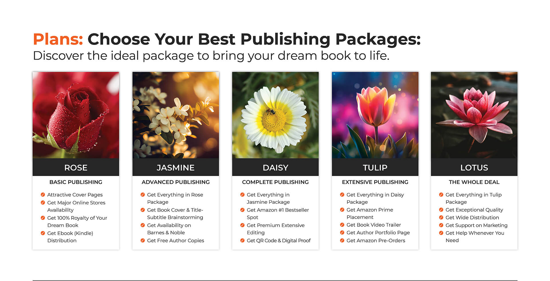Affordable Self-Publishing Packages for Aspiring Authors – Print and Digital Book Publishing Services by Authorland.